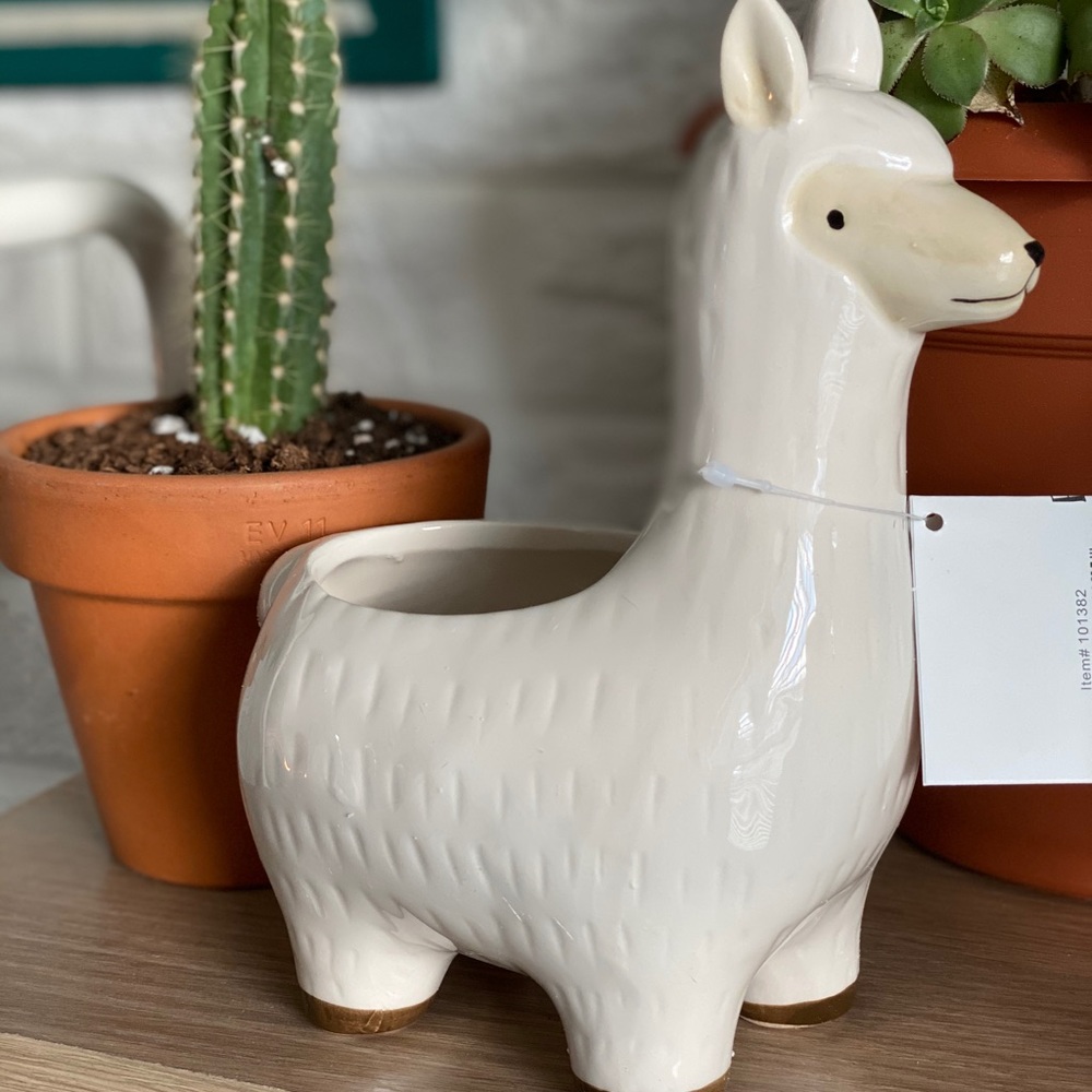Ceramic Novelty Llama Planter